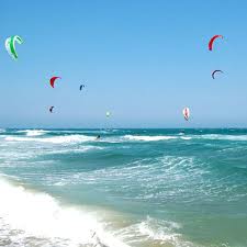 kite